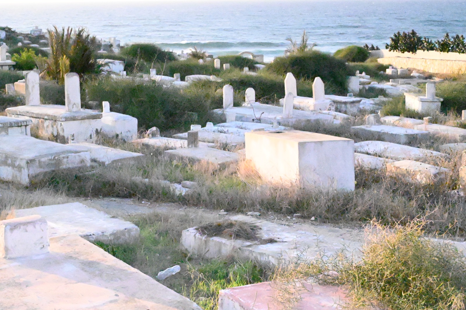 WhatsApp Image 2022-11-24 at 11.41.27 AM (1).jpeg